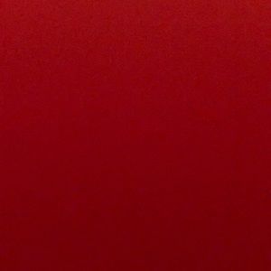 Meet your Posher, Austyn